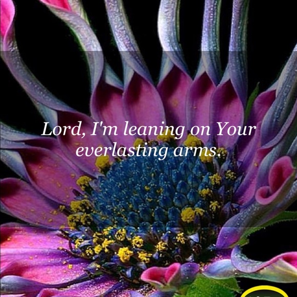 Meet your Posher Ambassador Joan - Picture 3 of 4